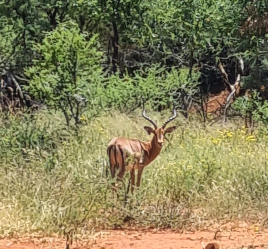 3 Bedroom Property for Sale in Koster North West